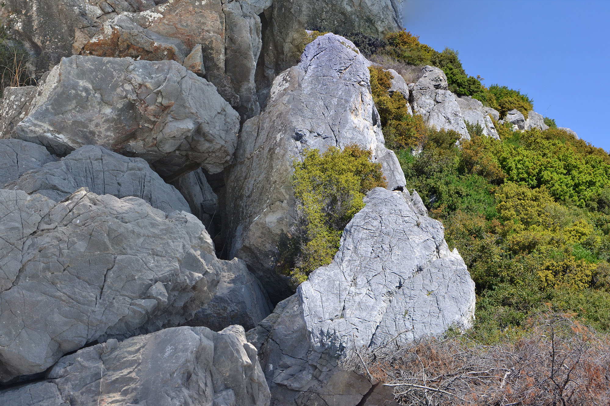 Untitled_Panorama 237